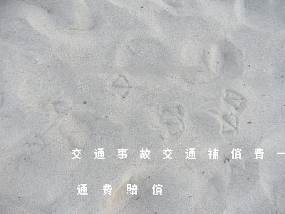 交通事故交通補償費一天多少錢(交通事故交通費賠償)