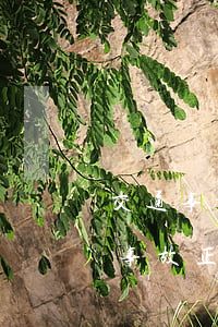 交通事故交通費(fèi)賠償多少天(交通事故正常賠償需要多少天)