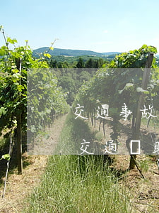 交通事故交通費賠償標準一天多少錢(事故后交通補助費用一天多少)
