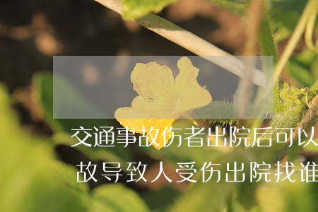 交通事故伤者出院后可以诉讼吗(出了交通事故导致人受伤出院找谁理赔)