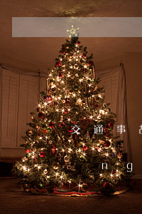 交通事故侵權(quán)工傷的申請(qǐng)(工傷 侵權(quán))