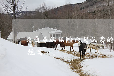交通事故保险公司认定的标准(交通事故认定规定)