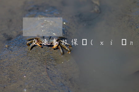 交通事故保險(xiǎn)人傷拒賠