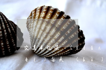 交通事故保險(xiǎn)公司交通費(fèi)每天補(bǔ)多少(保險(xiǎn)公司的交通費(fèi)用報(bào)銷)
