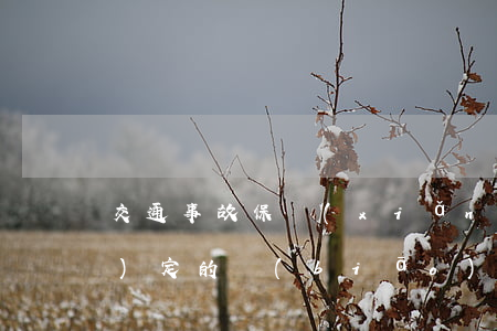 交通事故保險(xiǎn)公司認(rèn)定的標(biāo)準(zhǔn)(交通事故認(rèn)定規(guī)定)