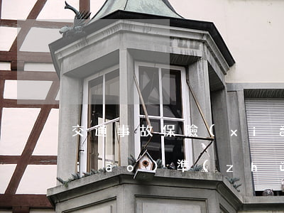 交通事故保險(xiǎn)公司賠償標(biāo)準(zhǔn)是什么(交通事故 保險(xiǎn)賠償標(biāo)準(zhǔn))