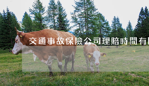 交通事故保險公司理賠時間有限制嗎