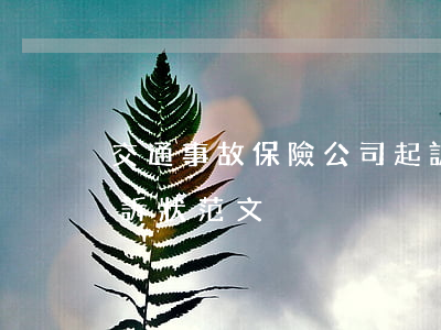 交通事故保險公司起訴(交通事故保險公司起訴狀范文)
