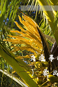 交通事故個工傷一起打官司律師費(fèi)要出多少呀(律師處理工傷事故的費(fèi)用是多少)