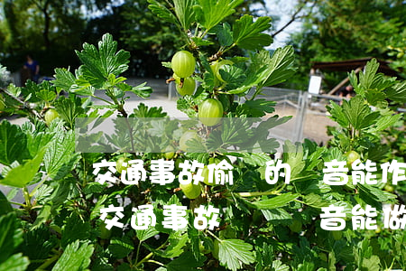 交通事故偷錄的錄音能作為證據(jù)嗎(交通事故電話錄音能做證據(jù)嗎)