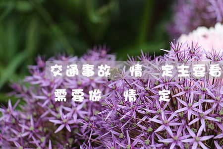 交通事故傷情鑒定主要看什么(交通事故受傷需要做傷情鑒定嗎)