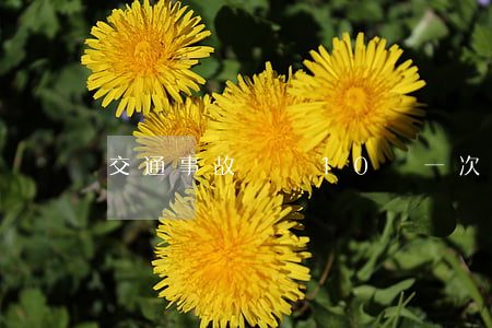 交通事故傷殘10級一次性賠償多少