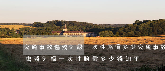 交通事故傷殘9級一次性賠償多少(交通事故傷殘9級一次性賠償多少錢知乎)