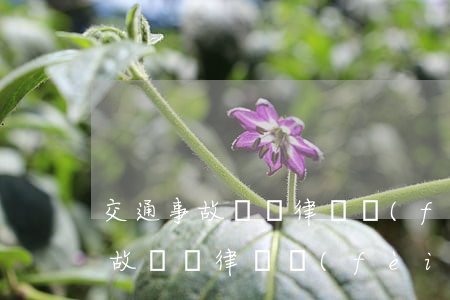 交通事故傷殘律師費(fèi)多少(交通事故糾紛律師費(fèi)用是多少)