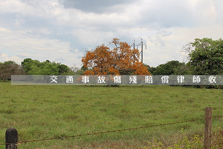 交通事故傷殘賠償律師收費標準