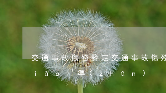 交通事故傷殘鑒定(交通事故傷殘鑒定標(biāo)準(zhǔn))