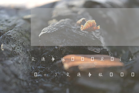 交通事故傷殘鑒定標(biāo)準(zhǔn)(交通事故傷殘鑒定標(biāo)準(zhǔn)及賠償2021十級(jí)多少錢(qián))