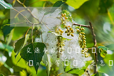 交通事故傷殘鑒定標(biāo)準(zhǔn)等級劃分是怎樣（傷殘鑒定技術(shù)標(biāo)準(zhǔn)）