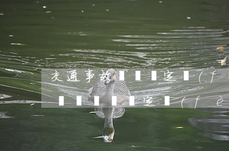 交通事故傷殘鑒定費(fèi)用是多少錢(車禍傷殘鑒定費(fèi)用誰(shuí)出費(fèi)用是多少)