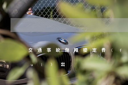交通事故傷殘鑒定費(fèi)用誰(shuí)出