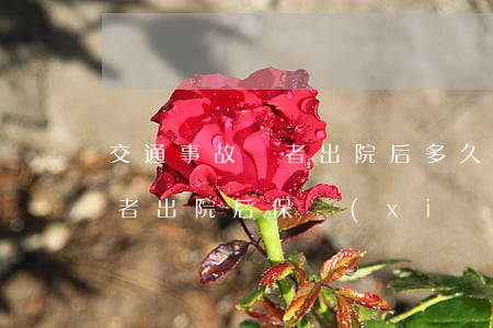 交通事故傷者出院后多久賠償(交通事故受傷者出院后保險(xiǎn)理賠需要幾天)