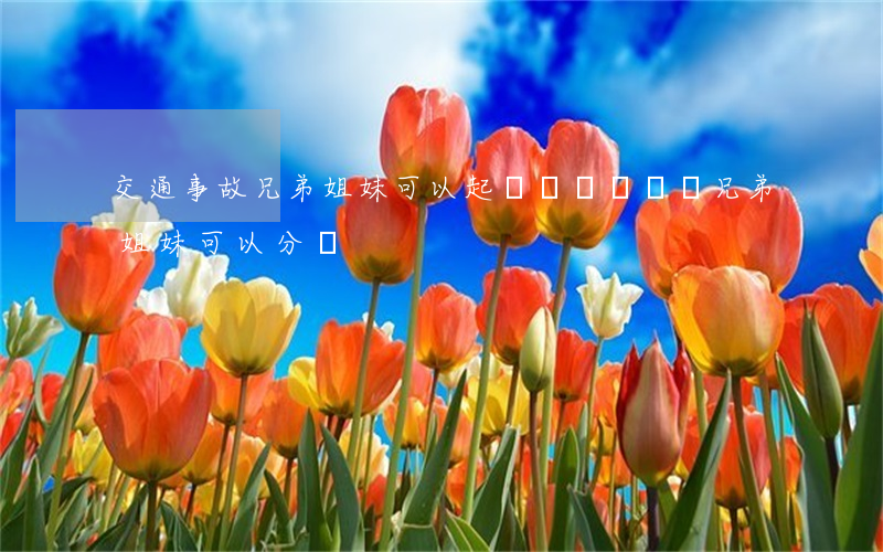 交通事故兄弟姐妹可以起訴嗎(車禍賠償兄弟姐妹可以分嗎)