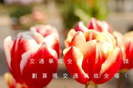 交通事故全責(zé)請(qǐng)律師劃算嗎(交通事故全權(quán)委托律師,賠償款會(huì)有問(wèn)題嗎)