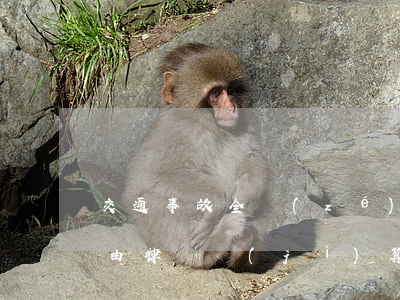 交通事故全責(zé)賠償費(fèi)用由律師計(jì)算嗎(交通事故對(duì)方全責(zé)可以索賠哪些費(fèi)用)