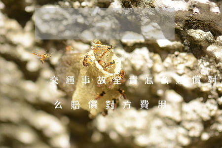 交通事故全責怎么賠償對方(交通事故全責怎么賠償對方費用)
