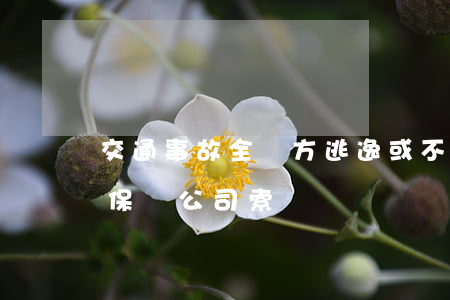 交通事故全責方逃逸或不賠錢，怎么向自己的保險公司索賠