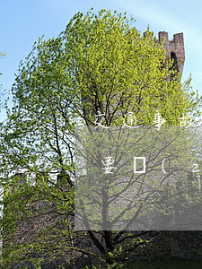 交通事故全部責(zé)任情況(交通事故主要責(zé)任判定標(biāo)準(zhǔn))