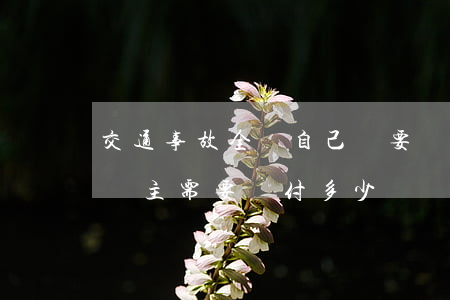 交通事故全險自己還要賠償多少(車禍有全險車主需要賠付多少)