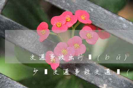 交通事故出行補(bǔ)償費(fèi)多少錢(交通事故交通費(fèi)用賠償多少)