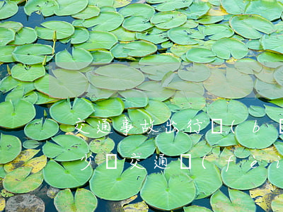 交通事故出行補(bǔ)償費(fèi)多少錢(交通費(fèi)一般賠償多少)