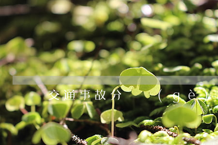 交通事故分幾個(gè)等級(jí)？