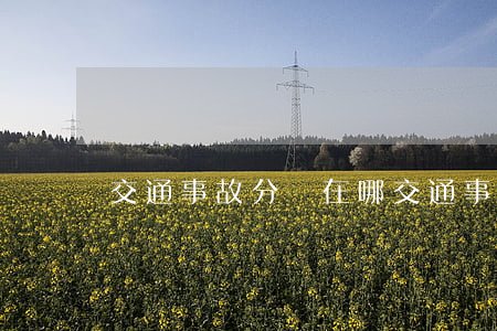交通事故分級在哪(交通事故分級在哪個法律)