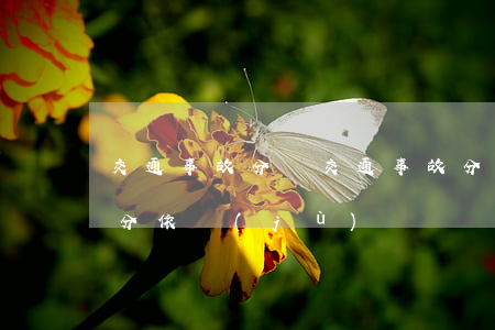 交通事故分類(交通事故分類等級(jí)劃分依據(jù))