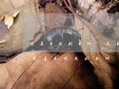 交通事故刑事附帶民事和單獨(dú)民事(交通事故是刑事附帶民事好還是另行起訴好)
