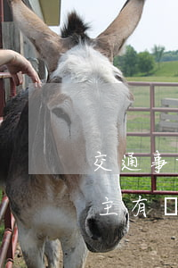 交通事故十級(jí)傷殘對(duì)車主有傷害嗎(交通導(dǎo)致十級(jí)傷殘賠償標(biāo)準(zhǔn))