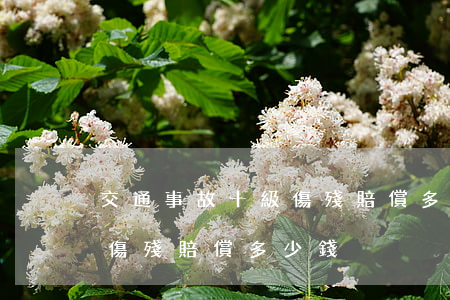 交通事故十級傷殘賠償多少錢(交通事故十級傷殘賠償多少錢)