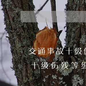 交通事故十级伤残赔偿金是多少钱(交通事故十级伤残等级赔偿标准)