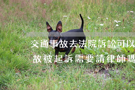 交通事故去法院訴訟可以不請律師嗎(交通事故被起訴需要請律師嗎)