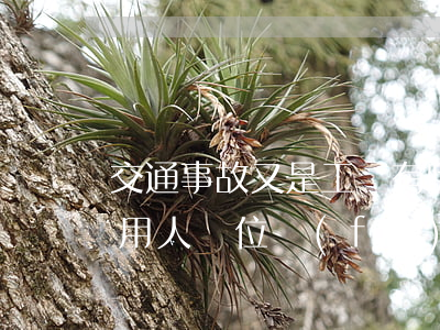 交通事故又是工傷有哪些賠償(交通事故工傷用人單位負(fù)責(zé)哪些賠償)