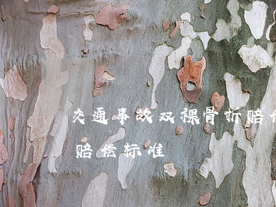 交通事故双裸骨折赔偿案(交通肇事致人骨折,赔偿标准)