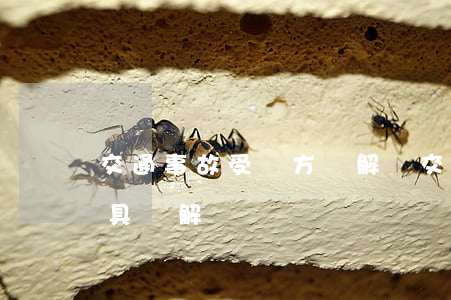 交通事故受傷方諒解書(交通肇事受害方不出具諒解書)