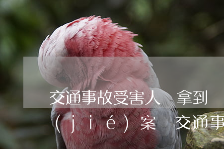 交通事故受害人沒拿到賠償會(huì)結(jié)案嗎?(交通事故已經(jīng)定責(zé)傷者不結(jié)案怎么辦)