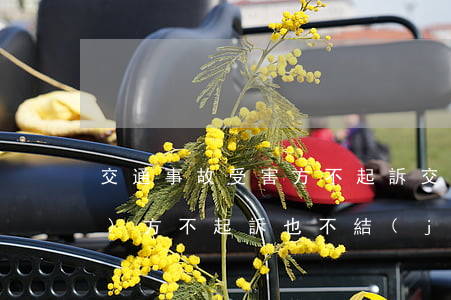 交通事故受害方不起訴(交通事故對(duì)方不起訴也不結(jié)案)