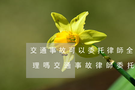 交通事故可以委托律師全權(quán)處理嗎(交通事故律師委托合同)