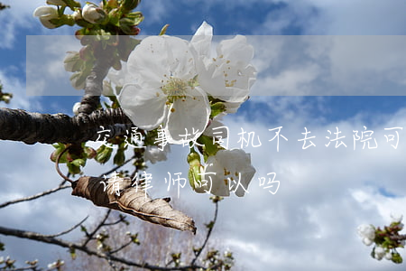 交通事故司机不去法院可以吗(车祸打官司不请律师可以吗)