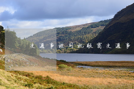交通事故司机敲窗(交通事故司机敲窗)